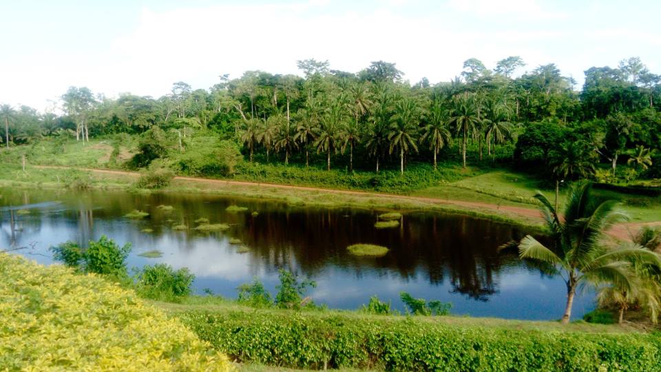 Lac d'Ekoadjom