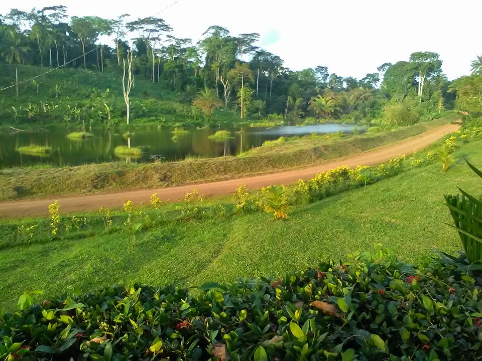 Les origines du peuple Bassa et l’histoire de Hikoadjom