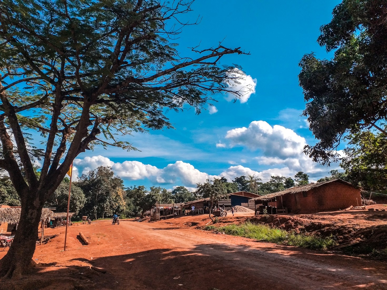 Les Bassa : Origines et histoire